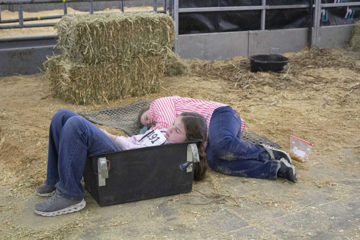 Ellie Petrash and Teagan Wilson rest on the floor of the cattle section at the San Antonio Stock Show and Rodeo Feb.12. Photo by Aaron Martinez.