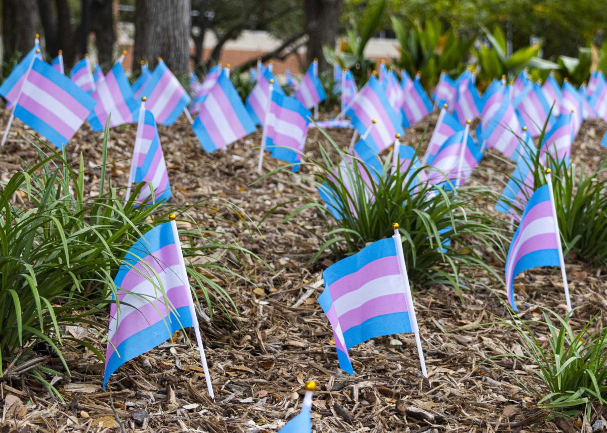 Flags planted at “Freedom Forum” for the Transgender Day of Remembrance Nov. 20. Photo by Jose Ramirez.